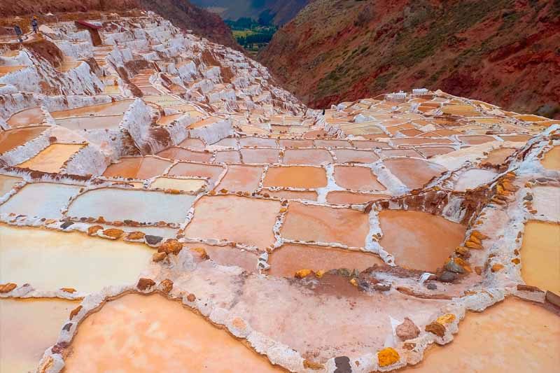 Maras