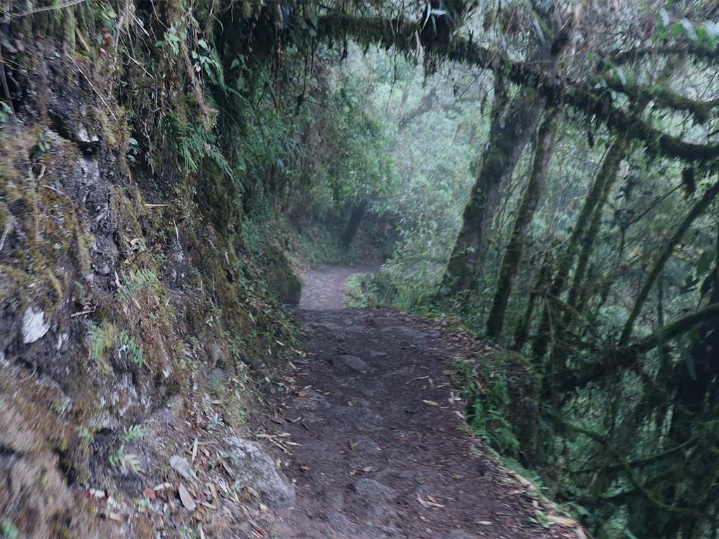 inca trail in june