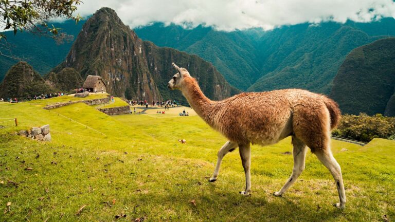 Machu Picchu Tour by Car 2 Days