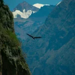 cañon de colca 1 dia