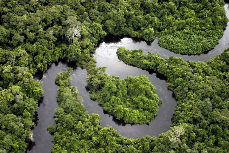 Iquitos