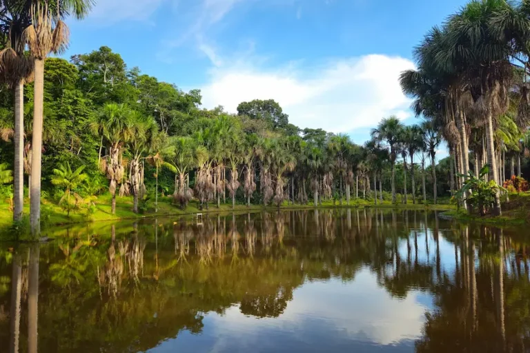 Puerto Maldonado Ecologico 3 días