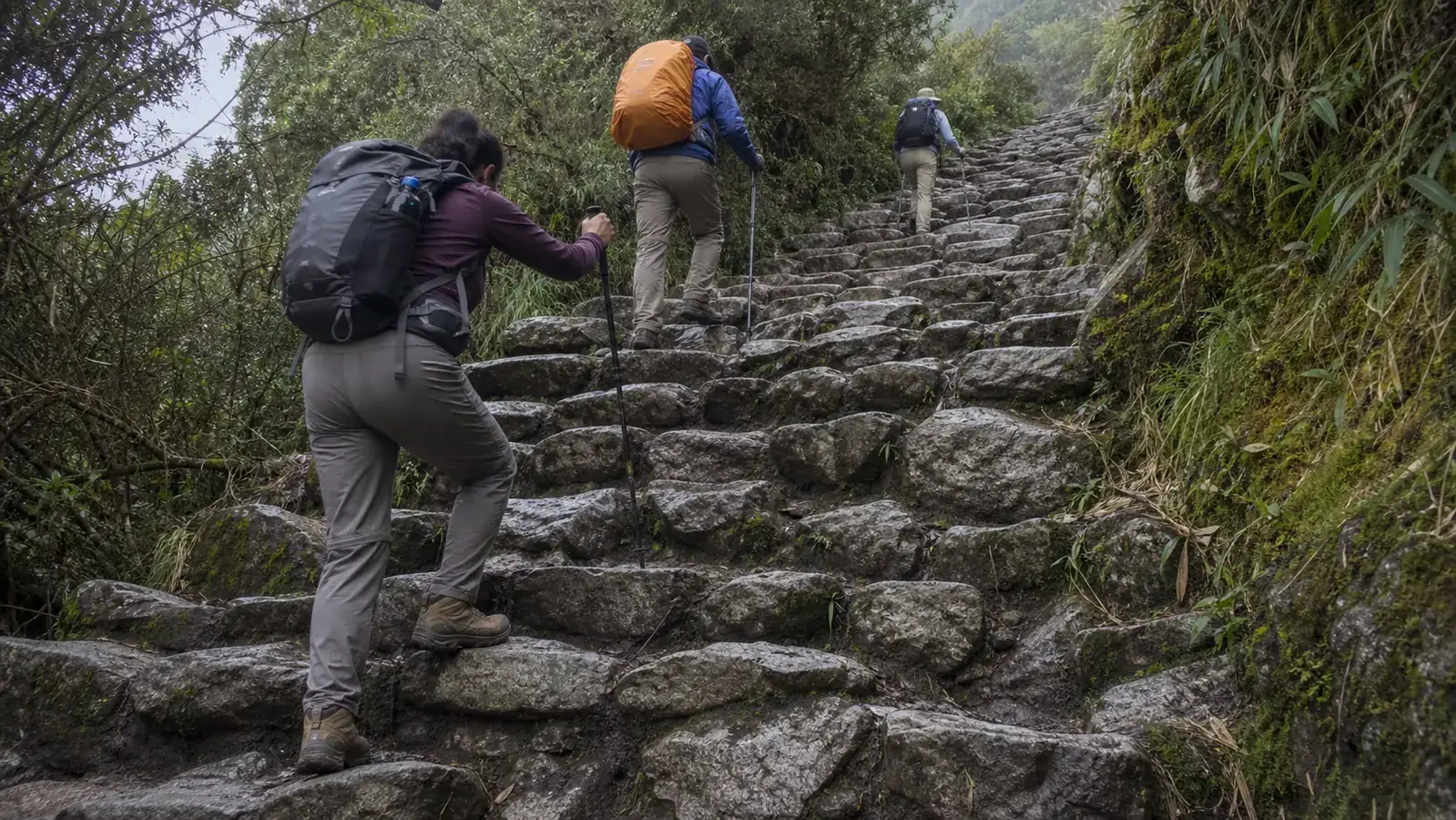 Hikers using trekking poles on demanding Inca stone stairs in cloud forest