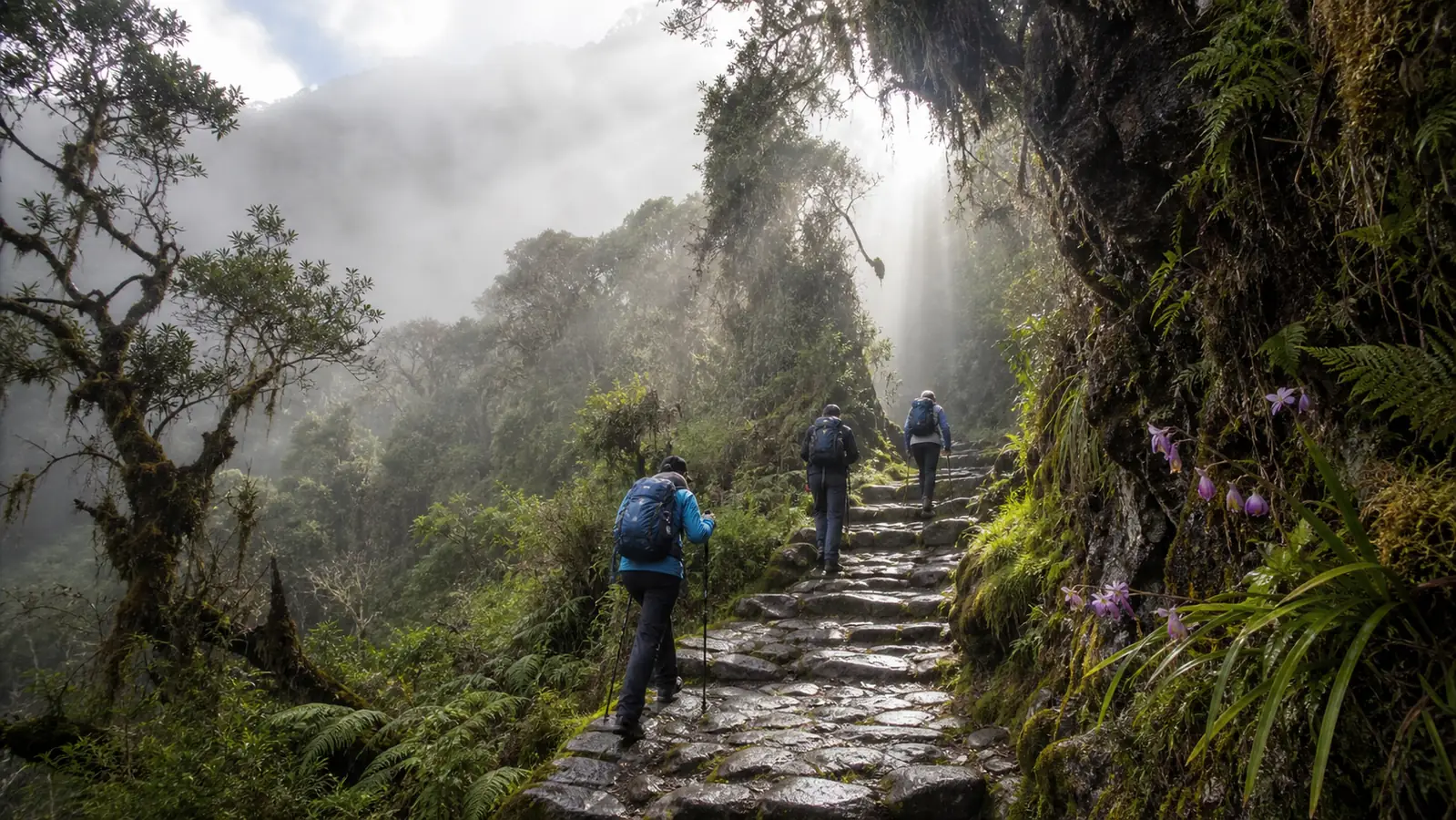 Sunbeams and lingering mist on an Inca Trail cloud forest staircase in April