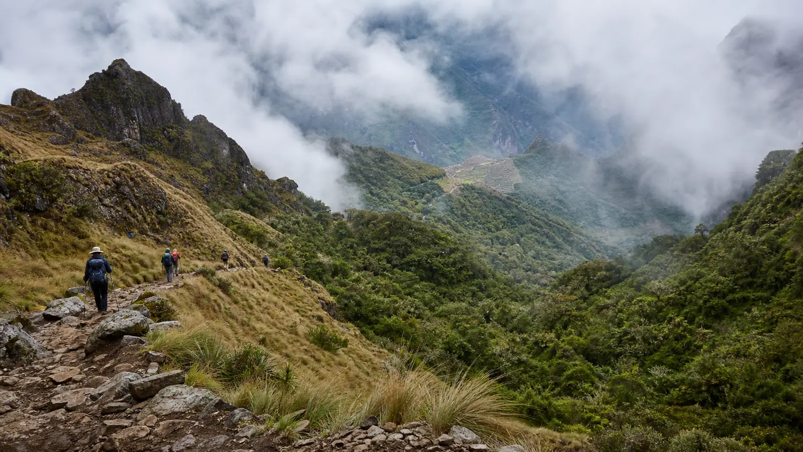 Inca Trail descending from high grassland through cloud forest toward ancient terraces