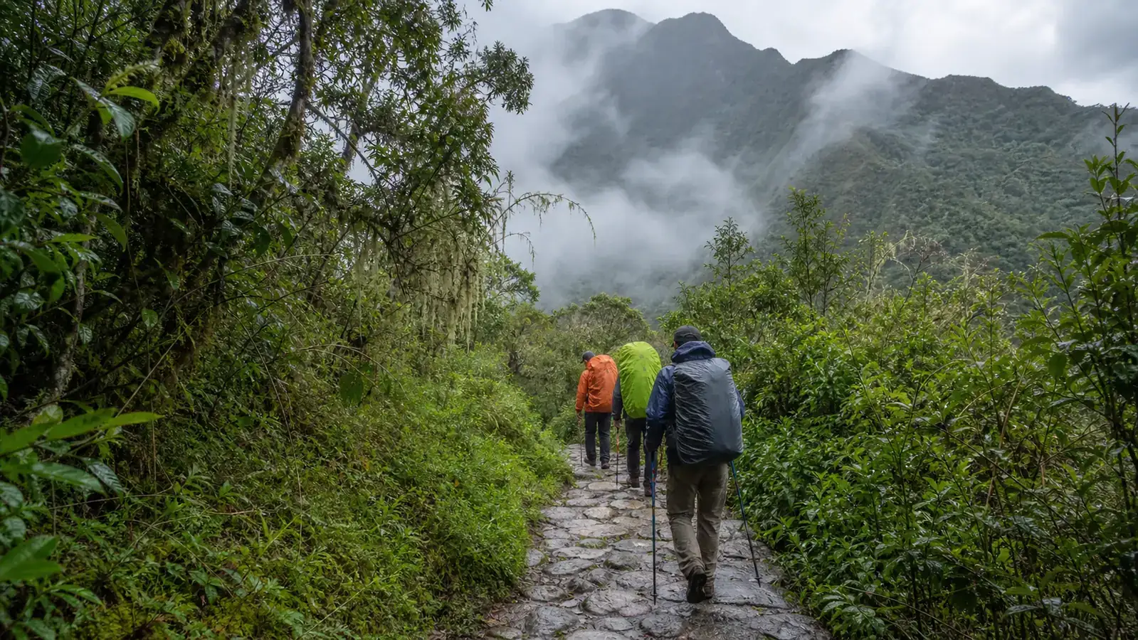 Hikers wearing rain gear on a misty Inca stone path through cloud forest