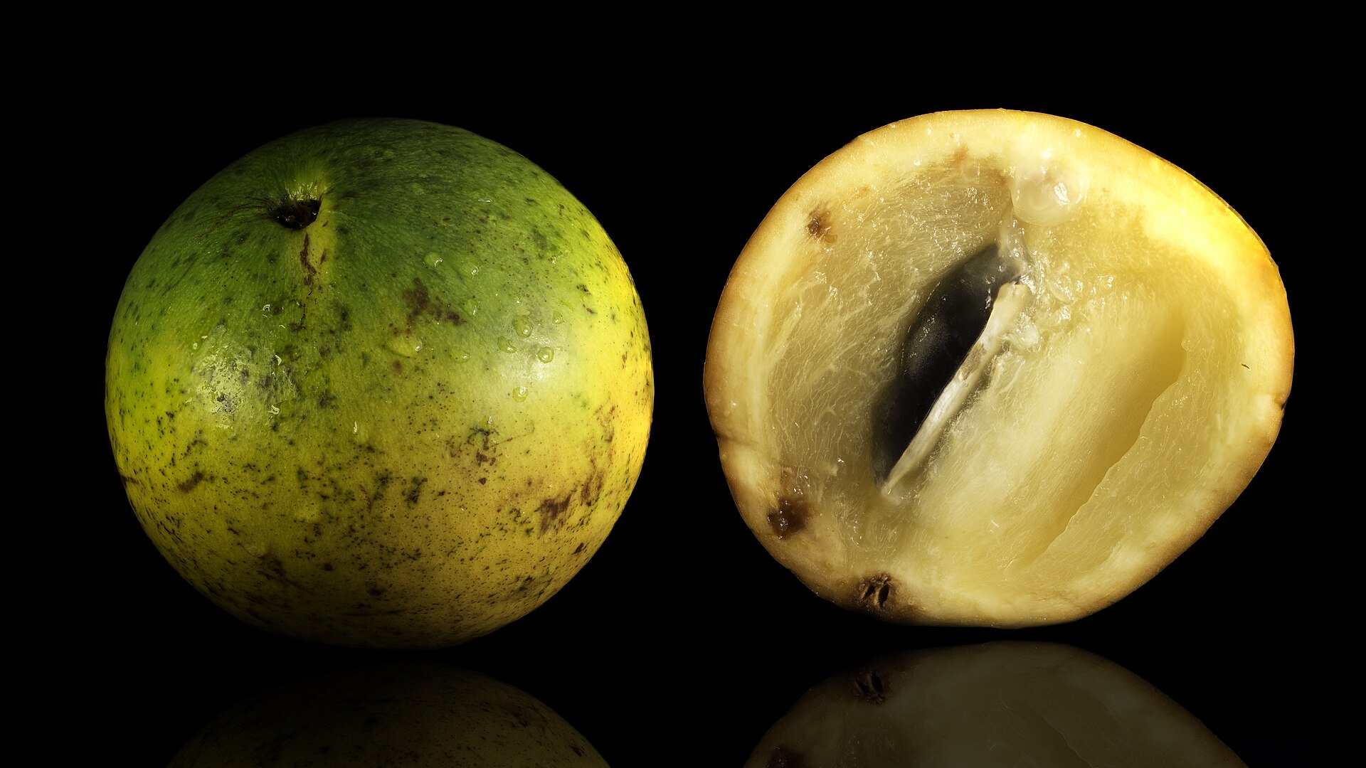 Caimito amazónico, fruta de la selva peruana