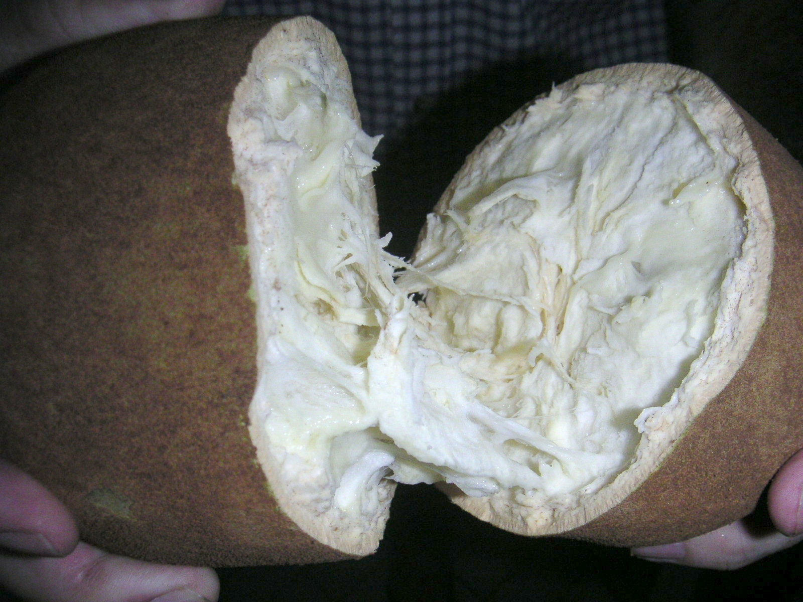 Copoazú, fruta de la selva peruana