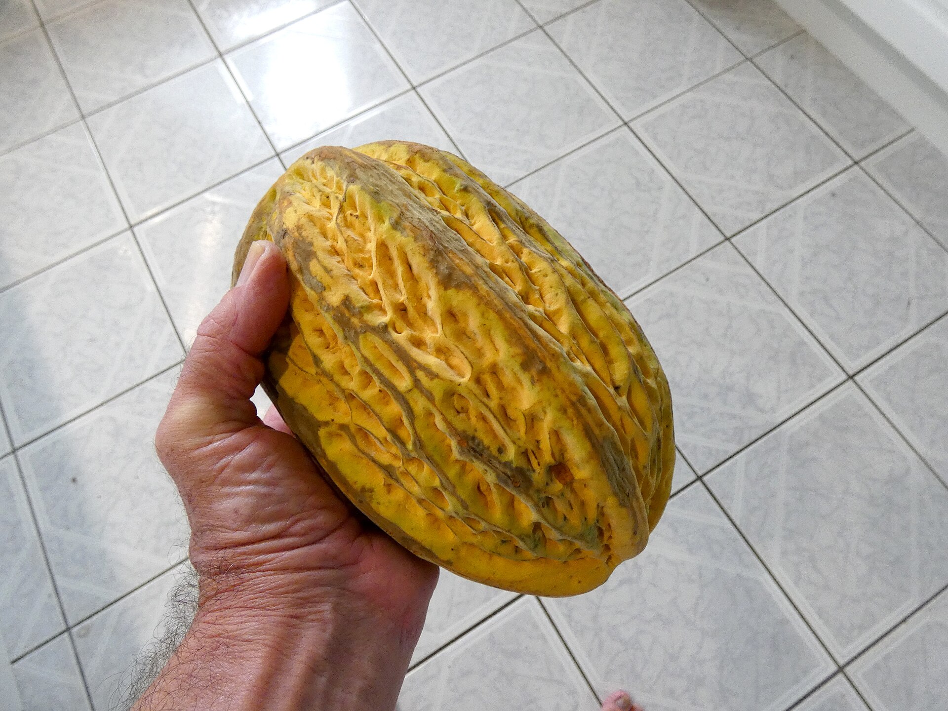 Macambo, fruta de la selva peruana